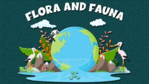 Flora and Fauna (1)