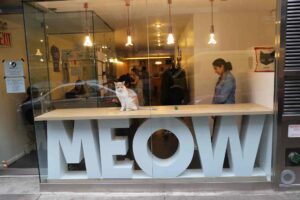 Meow Parlor restaurant in new york (1)